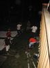IMG_0916.JPG